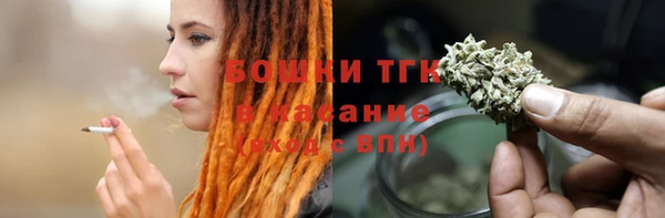 гидра Каменногорск