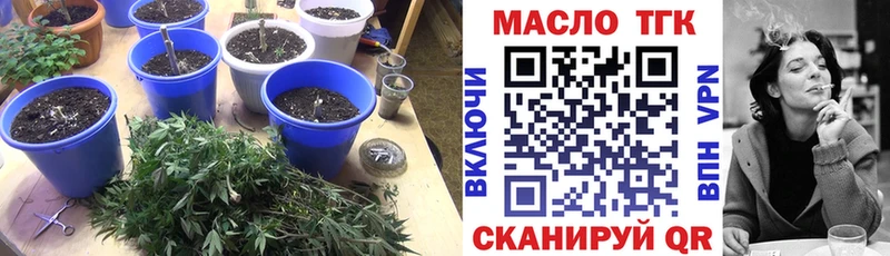магазин продажи наркотиков  Арамиль  Дистиллят ТГК Wax 