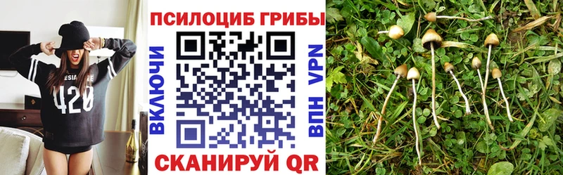 сколько стоит Арамиль Галлюциногенные грибы GOLDEN TEACHER